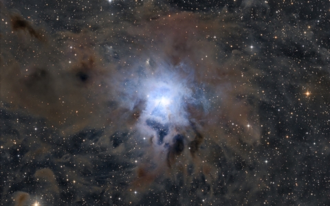 NGC 7023: The Iris Nebula - Justus Falk