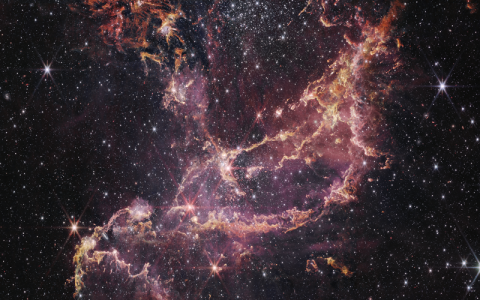 Young Star Cluster NGC 346